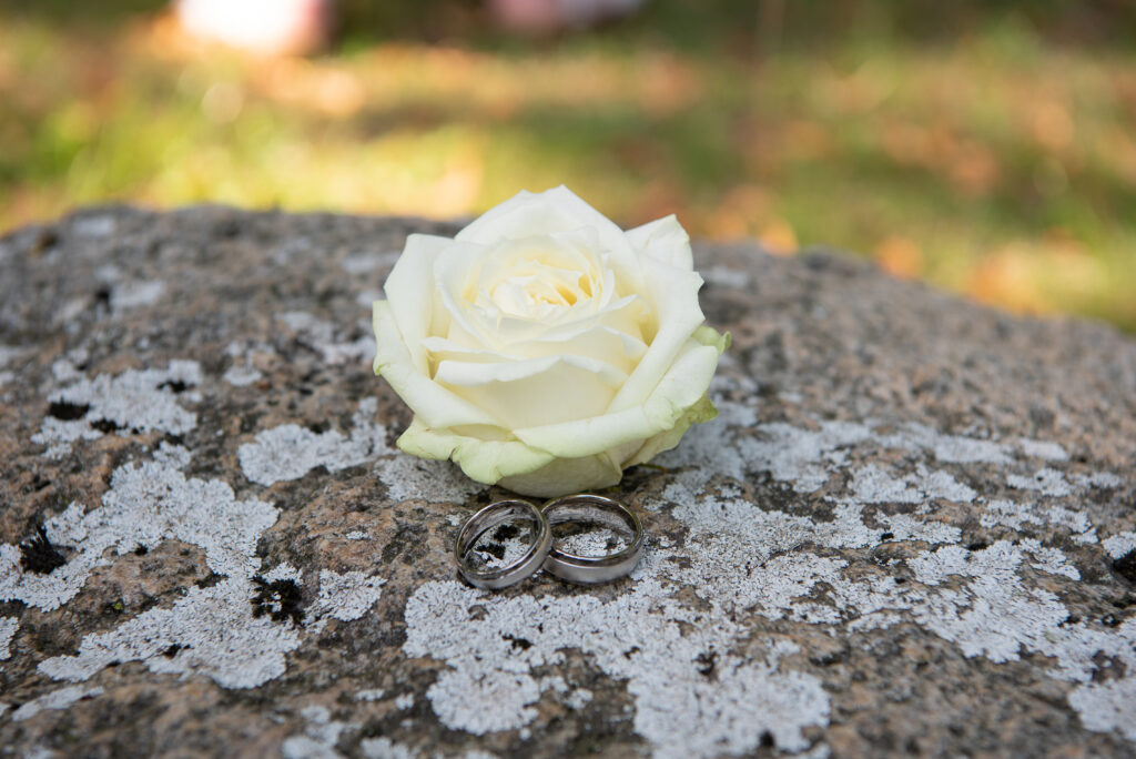 gelbe Rose mit den Eheringen auf einem Stein
Hochzeitsfotografen